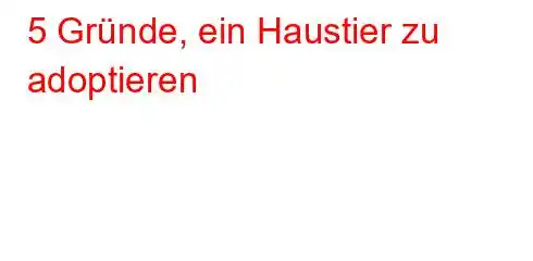 5 Gründe, ein Haustier zu adoptieren