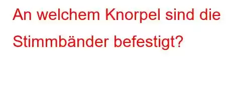 An welchem ​​Knorpel sind die Stimmbänder befestigt