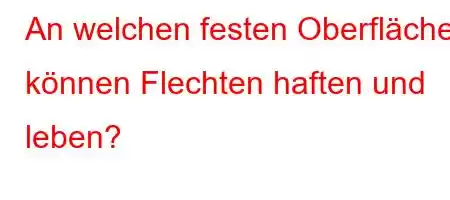 An welchen festen Oberflächen können Flechten haften und leben?