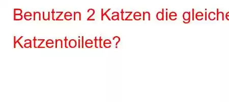 Benutzen 2 Katzen die gleiche Katzentoilette