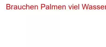 Brauchen Palmen viel Wasser?