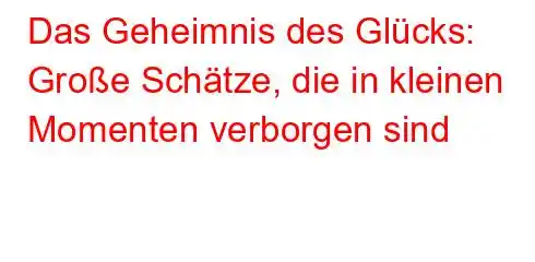 Das Geheimnis des Glücks: Große Schätze, die in kleinen Momenten verborgen sind