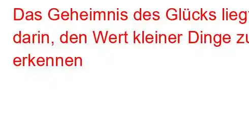 Das Geheimnis des Glücks liegt darin, den Wert kleiner Dinge zu erkennen