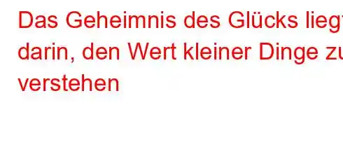 Das Geheimnis des Glücks liegt darin, den Wert kleiner Dinge zu verstehen