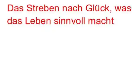 Das Streben nach Glück, was das Leben sinnvoll macht