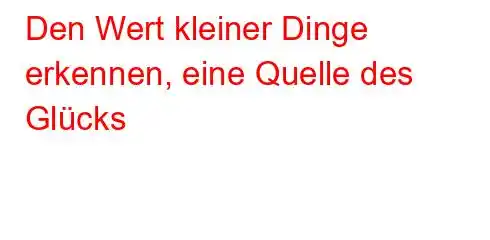 Den Wert kleiner Dinge erkennen, eine Quelle des Glücks