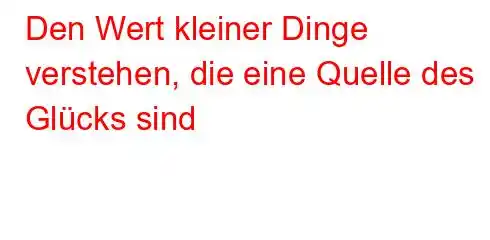 Den Wert kleiner Dinge verstehen, die eine Quelle des Glücks sind