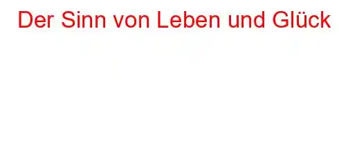 Der Sinn von Leben und Glück