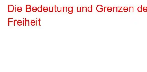 Die Bedeutung und Grenzen der Freiheit