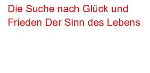 Die Suche nach Glück und Frieden Der Sinn des Lebens