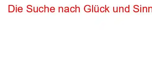 Die Suche nach Glück und Sinn