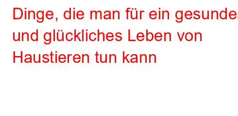 Dinge, die man für ein gesundes und glückliches Leben von Haustieren tun kann