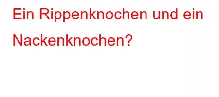 Ein Rippenknochen und ein Nackenknochen?