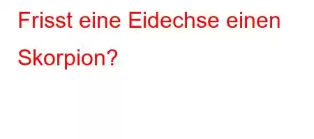 Frisst eine Eidechse einen Skorpion