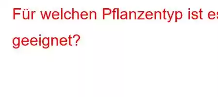 Für welchen Pflanzentyp ist es geeignet?