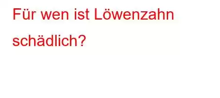 Für wen ist Löwenzahn schädlich?