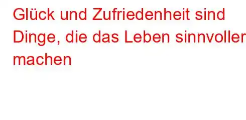 Glück und Zufriedenheit sind Dinge, die das Leben sinnvoller machen