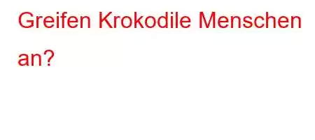 Greifen Krokodile Menschen an