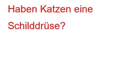 Haben Katzen eine Schilddrüse?