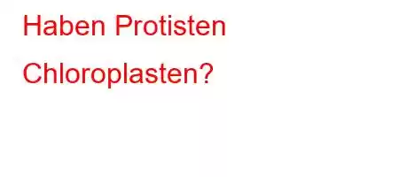 Haben Protisten Chloroplasten