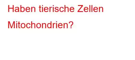 Haben tierische Zellen Mitochondrien?