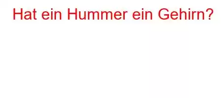 Hat ein Hummer ein Gehirn?