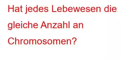 Hat jedes Lebewesen die gleiche Anzahl an Chromosomen