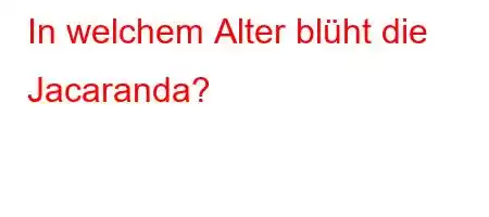 In welchem ​​Alter blüht die Jacaranda?