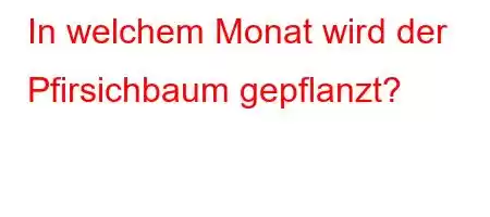 In welchem ​​Monat wird der Pfirsichbaum gepflanzt?