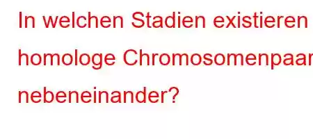 In welchen Stadien existieren homologe Chromosomenpaare nebeneinander?