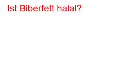 Ist Biberfett halal?