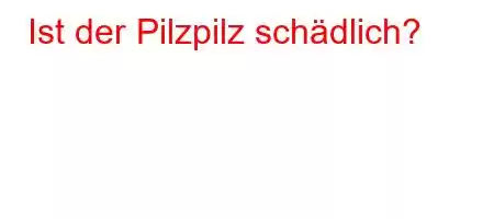 Ist der Pilzpilz schädlich?