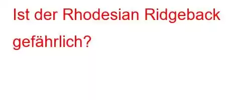 Ist der Rhodesian Ridgeback gefährlich?