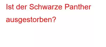 Ist der Schwarze Panther ausgestorben?