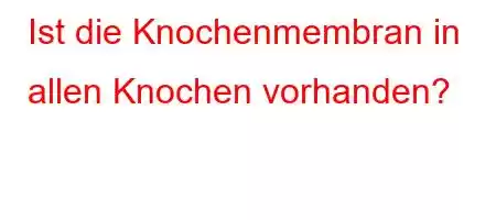 Ist die Knochenmembran in allen Knochen vorhanden?