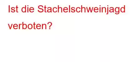 Ist die Stachelschweinjagd verboten