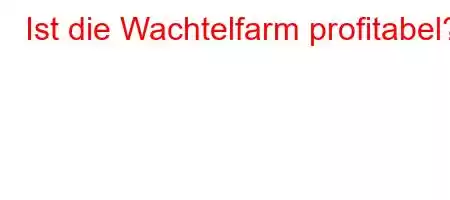 Ist die Wachtelfarm profitabel?