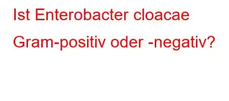 Ist Enterobacter cloacae Gram-positiv oder -negativ?