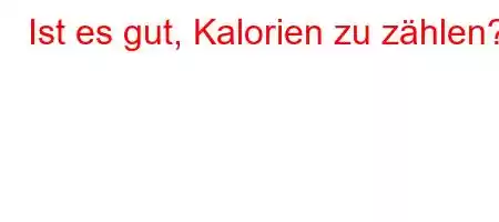 Ist es gut, Kalorien zu zählen?