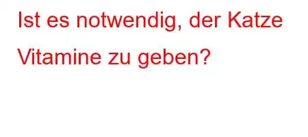 Ist es notwendig, der Katze Vitamine zu geben?