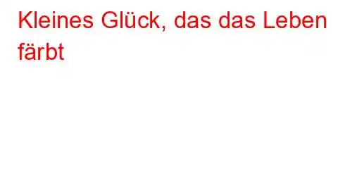 Kleines Glück, das das Leben färbt