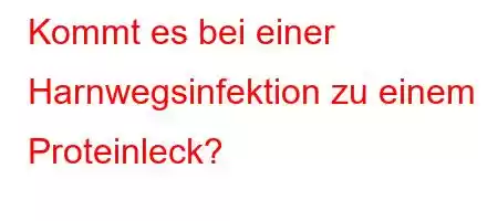 Kommt es bei einer Harnwegsinfektion zu einem Proteinleck?