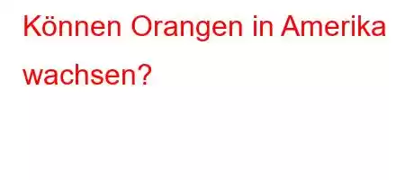 Können Orangen in Amerika wachsen?