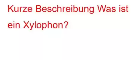 Kurze Beschreibung: Was ist ein Xylophon?