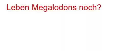 Leben Megalodons noch?