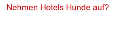 Nehmen Hotels Hunde auf