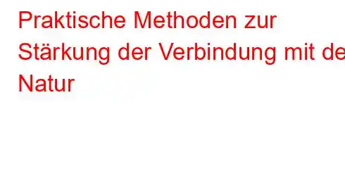 Praktische Methoden zur Stärkung der Verbindung mit der Natur