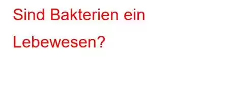 Sind Bakterien ein Lebewesen?