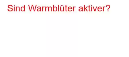 Sind Warmblüter aktiver?