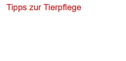 Tipps zur Tierpflege